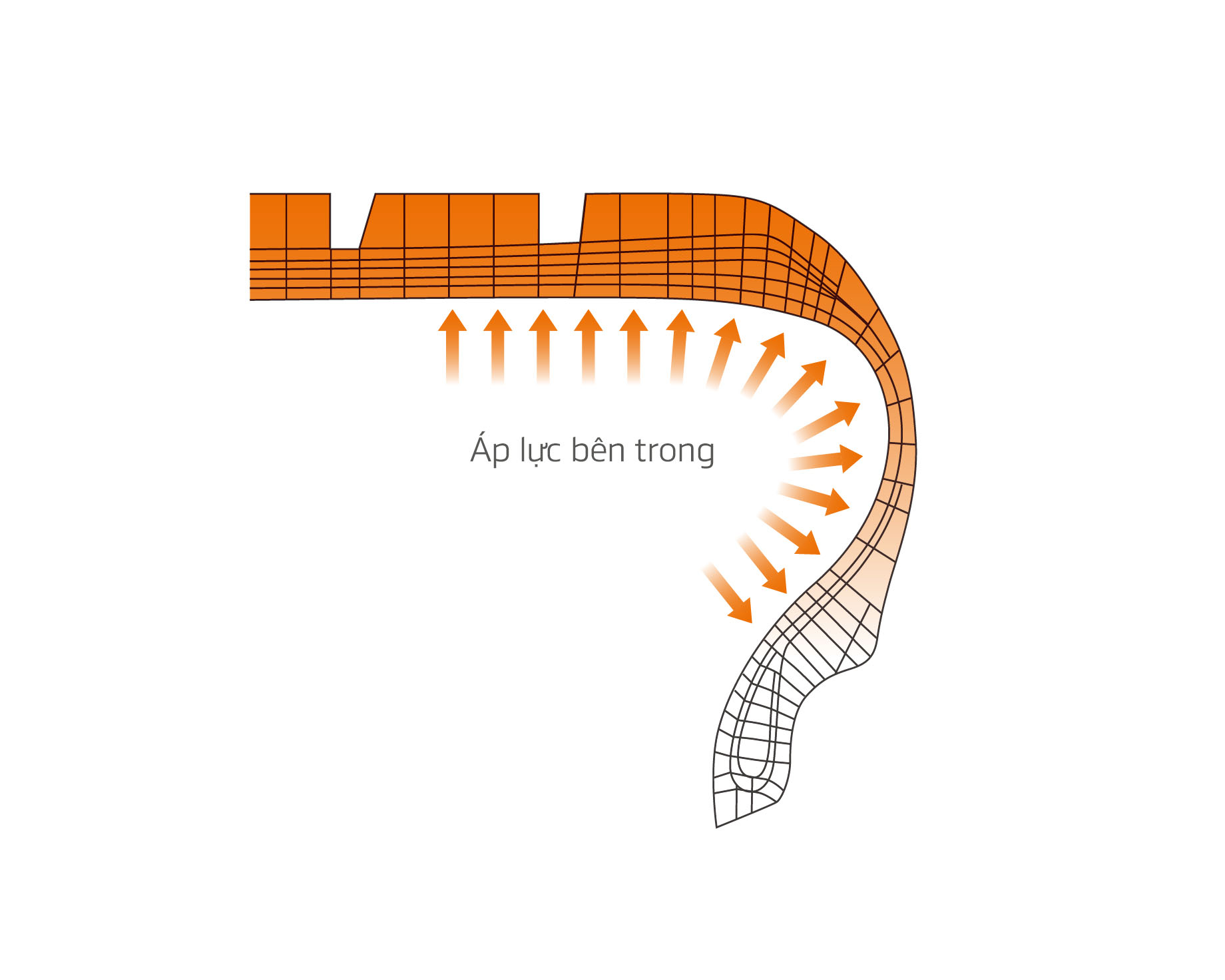 Đồng dạng áp suất lốp bên trong